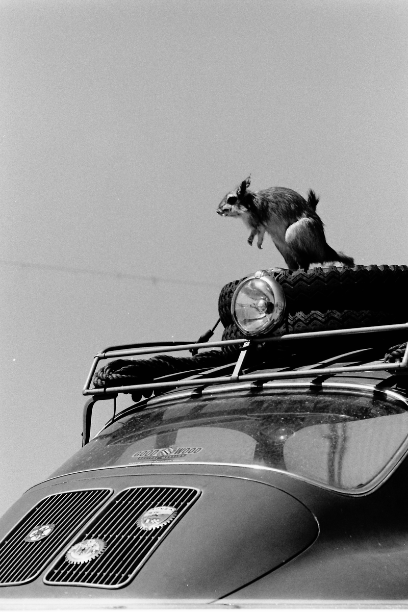 Illustration for article titled Here Are Some Glorious Black And White Photos From Luftgekühlt, The Air-Cooled Porsche Heaven
